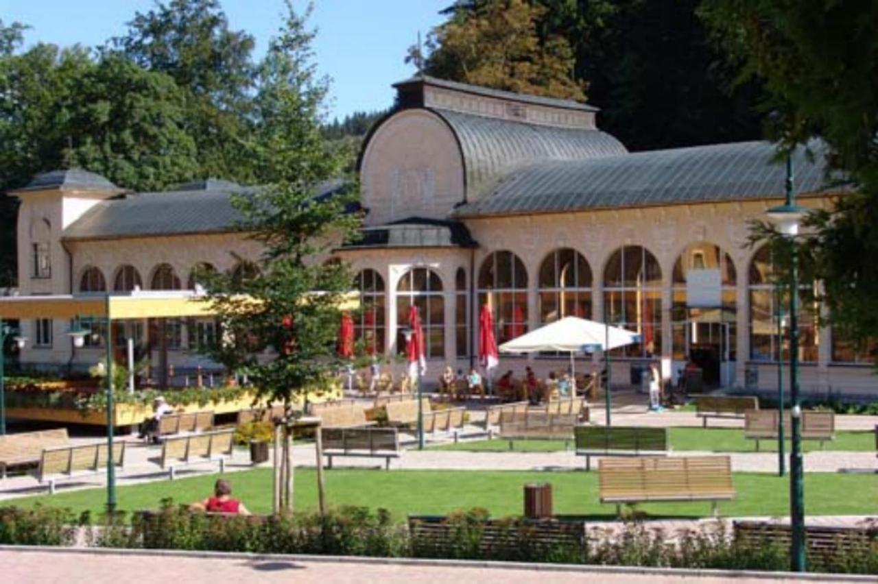 Wellness Pension Iveta Zacler Exterior photo